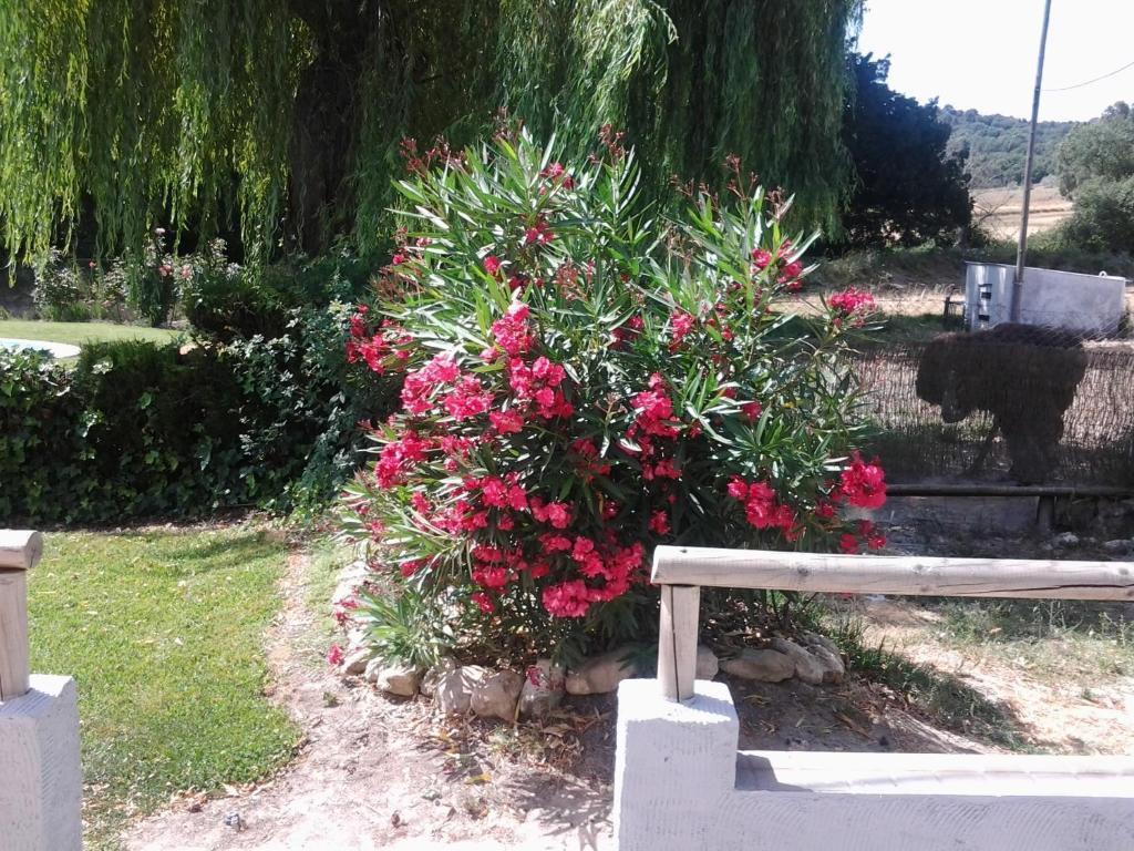 Hostal Rural Venta La Vega Ronda Extérieur photo